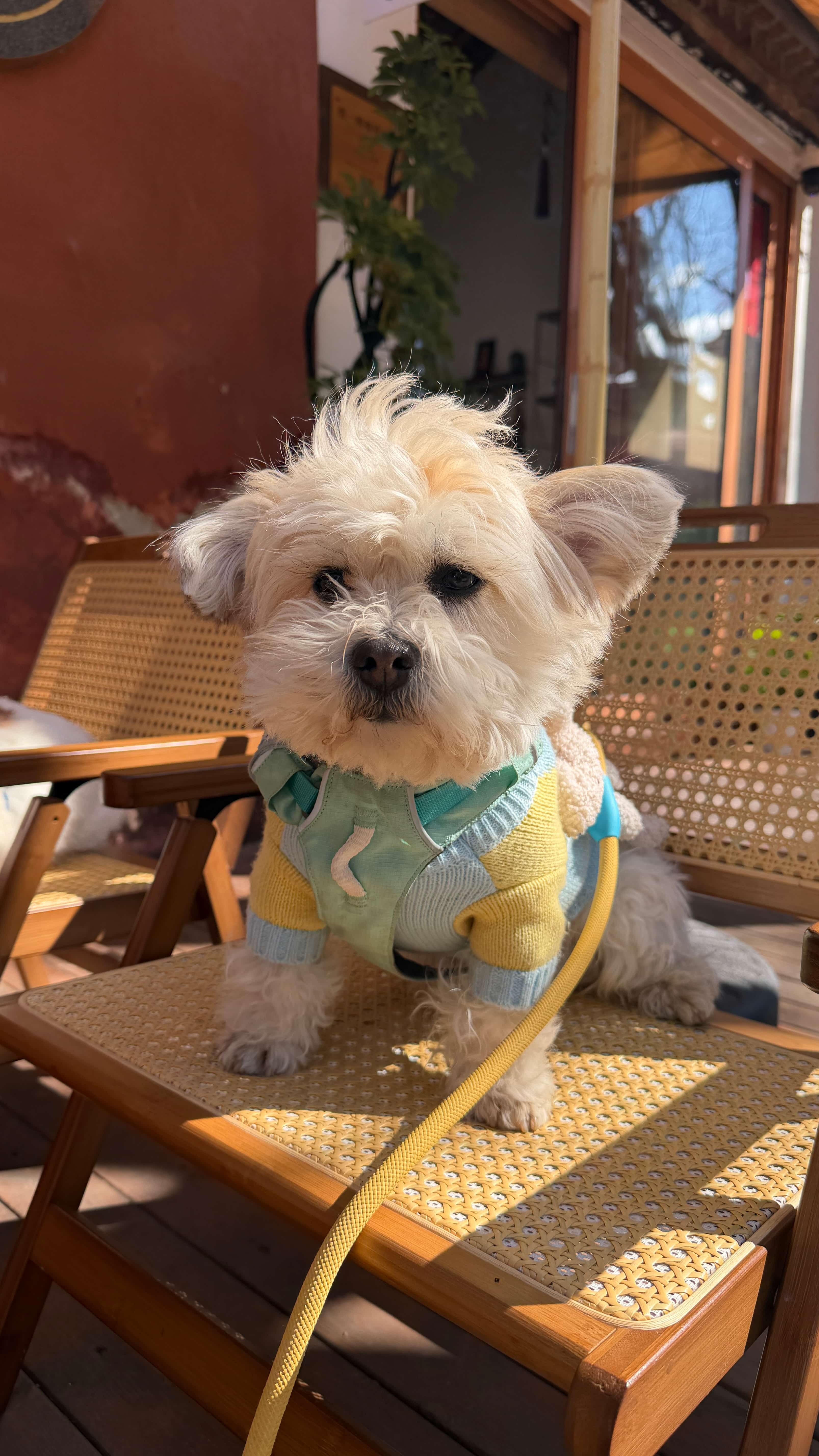 Juanjuan with caregiver